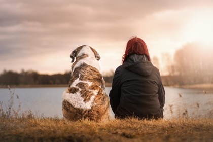 犬と待つ人