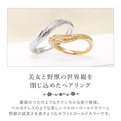 B and b ring01 02