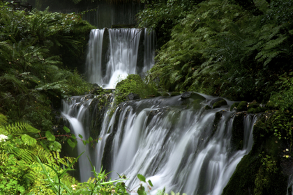 白糸の滝