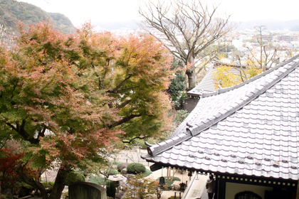 長谷寺の風景