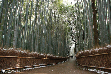 嵐山の風景