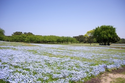 海の中道海浜公園の絶景