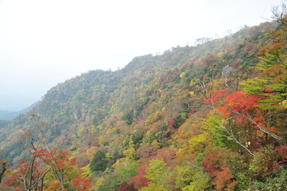 英彦山の紅葉