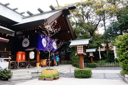 立派な東京大神宮の七夕