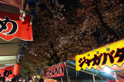 たくさんの屋台