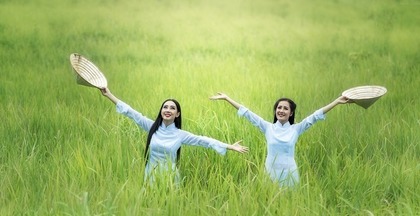 田んぼの風景