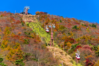 少しまばらな紅葉