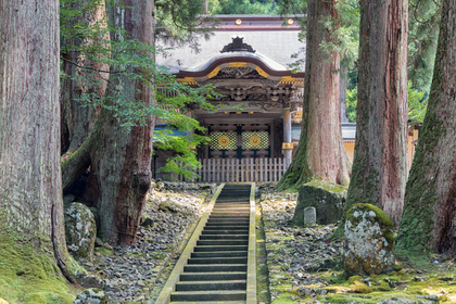 神社の鳥居の色