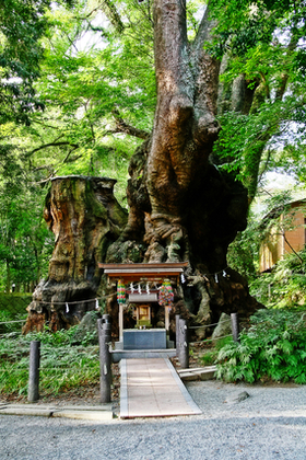 神社