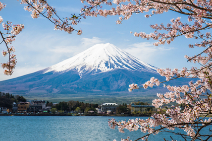 桜と富士山