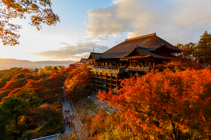 秋の風景